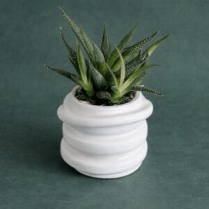 Blumentopf klein Keramik für Sukkulenten und Kakteen